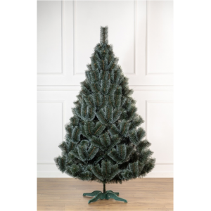 Сосна "Засніжена"